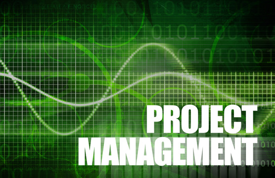 ITプロジェクトマネジメント実行管理 (PMBOK6版+PMBOK7版） | (株 
